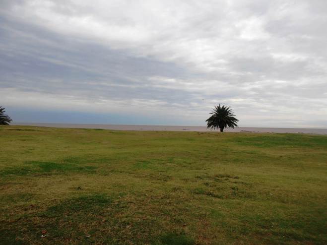 Feel your anxiety drift into the ocean breeze...