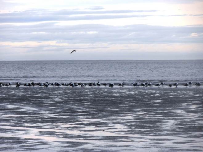 Find new ways to meditate -- and forget your Xanax. 