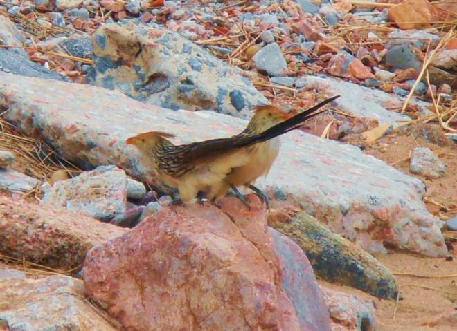 Make new friends who won't judge you based on your suitcase brand or your credit limit. 